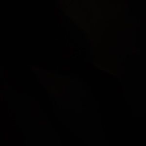 Meet your Posher, Jurni